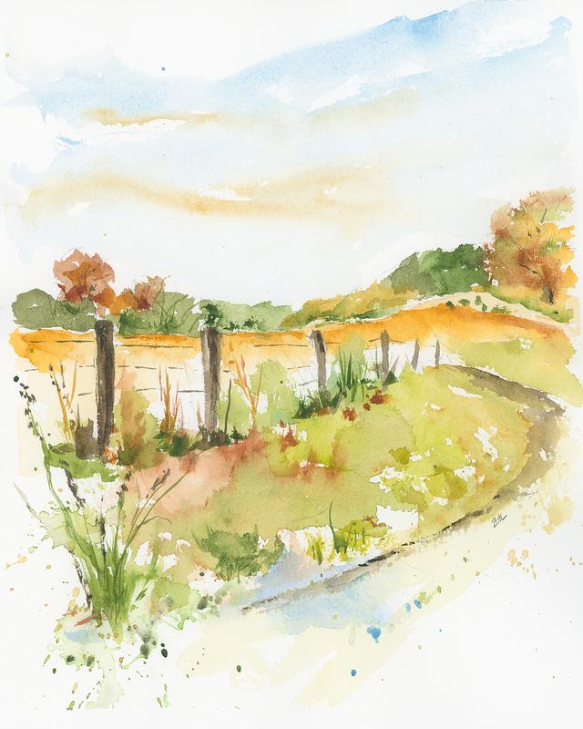 Fields In Autumn